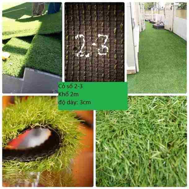 thảm cỏ trải sàn 4